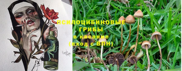 PSILOCYBIN Алексеевка
