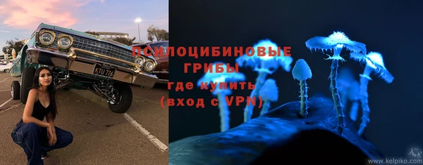 PSILOCYBIN Алексеевка