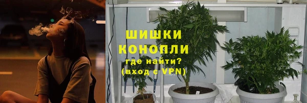 PSILOCYBIN Алексеевка