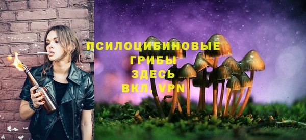 PSILOCYBIN Алексеевка
