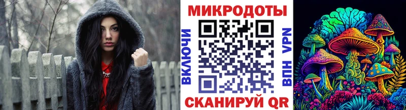 мориарти какой сайт  Можга  Псилоцибиновые грибы Psilocybine cubensis 